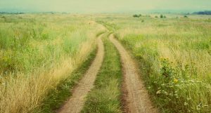 grass field road with Heather Hildebrand psychic medium